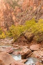 Virgin River Zion National Park in Fall Royalty Free Stock Photo