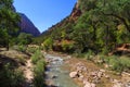 Virgin River, Zion National Park Royalty Free Stock Photo