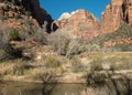 The Virgin River, Zion National Park, Utah