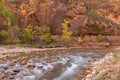 Virgin River Zion National Park Utah in Fall Royalty Free Stock Photo