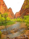 Virgin River, Zion National Park, Utah Royalty Free Stock Photo