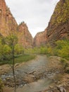 The Virgin River, Zion National Park, Utah Royalty Free Stock Photo