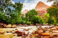 Virgin River in Zion National Park - Utah USA Royalty Free Stock Photo