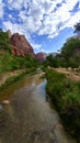 Virgin River at Zion National Park