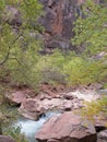 The Virgin Rover, Zion National Park, Utah Royalty Free Stock Photo