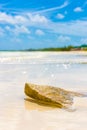 Virgin tropical beach at Coco Key (Cayo Coco) in Cuba Royalty Free Stock Photo
