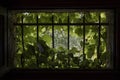 Virginia creeper in small window with cast iron bars Royalty Free Stock Photo