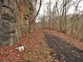 Virginia Creeper Trail Bike Path Royalty Free Stock Photo