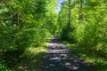 Virginia Creeper Trail, Damascus, Virginia, USA Royalty Free Stock Photo