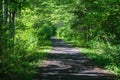 Virginia Creeper Trail, Damascus, Virginia, USA Royalty Free Stock Photo