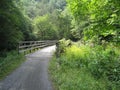 Virginia Creeper Trail Royalty Free Stock Photo