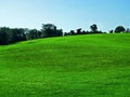 Virginia Hills Landscape