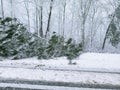 Virginia snow storm damage Royalty Free Stock Photo