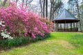 Virginia Spring Azalea Garden Royalty Free Stock Photo