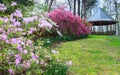 Vienna Virginia Spring Azalea Garden Royalty Free Stock Photo