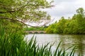 Virginia Water Lake at Virginia Water, Windsor Great Park, Berkshire, England