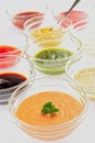 Viriation Ketchup, mustard, mayonnaise, basil pesto, sweet chili sauce and teriyaki soy sauce in spoon isolated on white backgroun Royalty Free Stock Photo