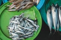 Viriety of Fish on Tray in Asian Local Market