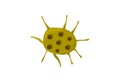 Virology vector illustration: cartoon virus isolated. Virus icon.