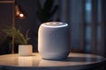 virtual assistant addressing customer's concerns by using smart speaker with built-in ai