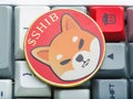 Virtual cryptocurrency shiba inu on the keyboard of a personal computer. Computer components, new financial and computer