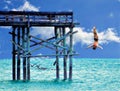 A virtual diver takes a chance diving off the end of the beach fishing pier