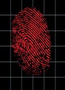 Virtual Fingerprint Identity