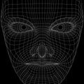 Virtual reality concept. Artificial intelligence. The human face of wireframe, front view. Future science with modern technology. Royalty Free Stock Photo