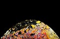 Virtual reality space with abstract multicolor psychedelic planet. Closeup Soap bubble like an alien planet on black background