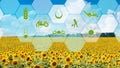 Virtual screen with digital icons, sunflower field background