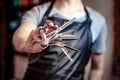 A virtuoso barber holds four scissors in one hand (focus on the scissors) Royalty Free Stock Photo