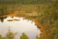 Viru Bog in Lahemaa National Park in Estonia
