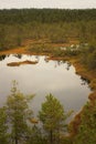 Viru Bog in Lahemaa National Park in Estonia