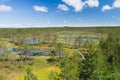 Viru bog wooden footpath, Estonia Royalty Free Stock Photo