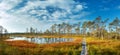 Viru bogs at Lahemaa national park Royalty Free Stock Photo