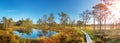 Viru bogs at Lahemaa national park Royalty Free Stock Photo