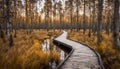 Viru bogs at Lahemaa national park in autumn. Wooden path beautiful wild place in Estonia