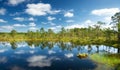 Viru bogs at Lahemaa national park Royalty Free Stock Photo