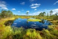 Viru bogs at Lahemaa national park Royalty Free Stock Photo