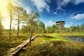 Viru bogs at Lahemaa national park Royalty Free Stock Photo