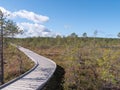 Viru bogs at Lahemaa national park Royalty Free Stock Photo