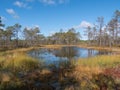 Viru bogs at Lahemaa national park