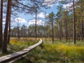 Viru bogs at Lahemaa national park