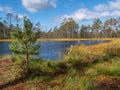 Viru bogs at Lahemaa national park