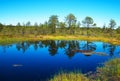 Viru Raba swamp lake.