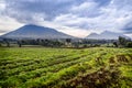 Virunga volcano national park landscape with green farmland fields in the foreground, Rwanda Royalty Free Stock Photo