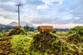 Virunga volcano national park landscape with beehives and farmland fields in the foreground, Rwanda Royalty Free Stock Photo