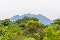 Virunga Volcanoes and Mgahinga Gorilla National Park from Kisoro in early morning with mist in the valley. Kisoro District, Uganda