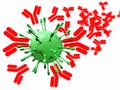 Virus and antibodies close-up