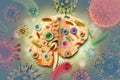 Virus or bacteria attacking the human brain, Viral disease